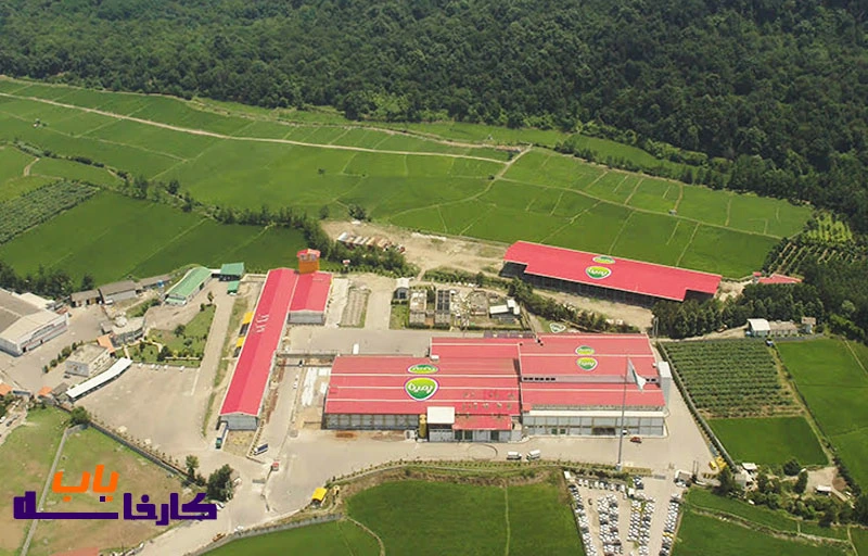 معرفی شرکت کاله در تهران به همراه آدرس، تلفن و محصولات