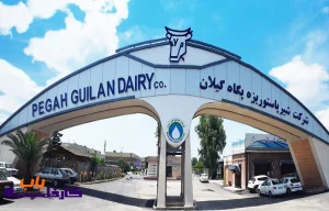 کارخانه پگاه کجاست؟ معرفی صاحب، مدیرعامل و شماره تماس