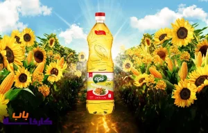 کارخانه روغن غنچه کجاست؟ شماره تماس و آدرس