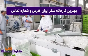 بهترین کارخانه شکر ایران، آدرس و شماره تماس