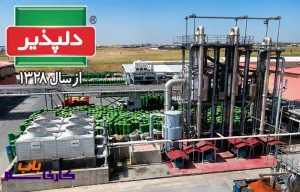 معرفی کامل شرکت دلپذیر در ایران