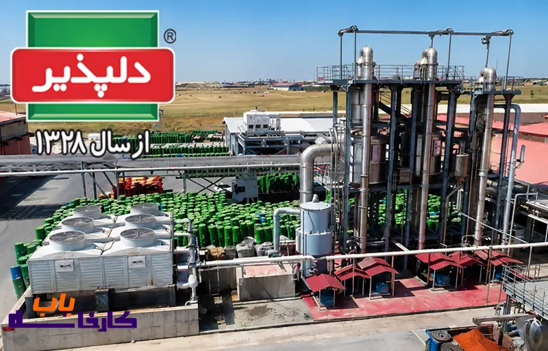 معرفی کامل شرکت دلپذیر در ایران