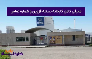 معرفی کامل کارخانه نستله قزوین
